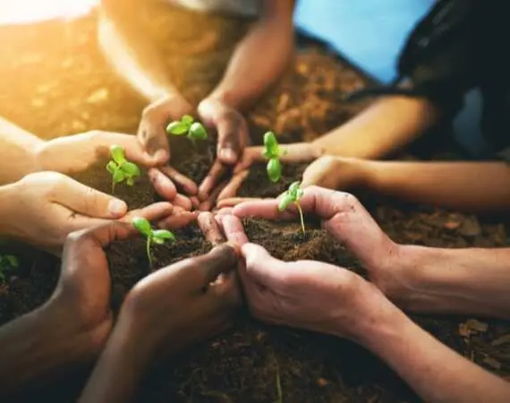 Hands nurturing young plants together, symbolizing growth and community in Business Scriptures' newsletter.